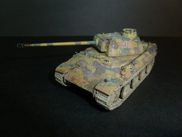 ПАНТЕРА G поздняя