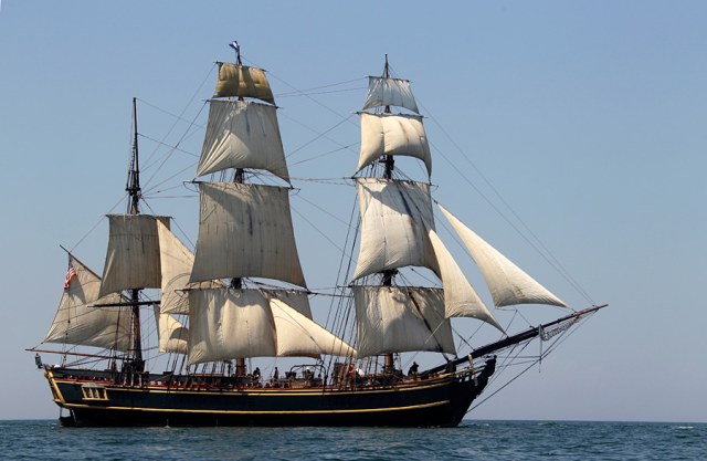 БАУНТИ журнальная версия, дерево