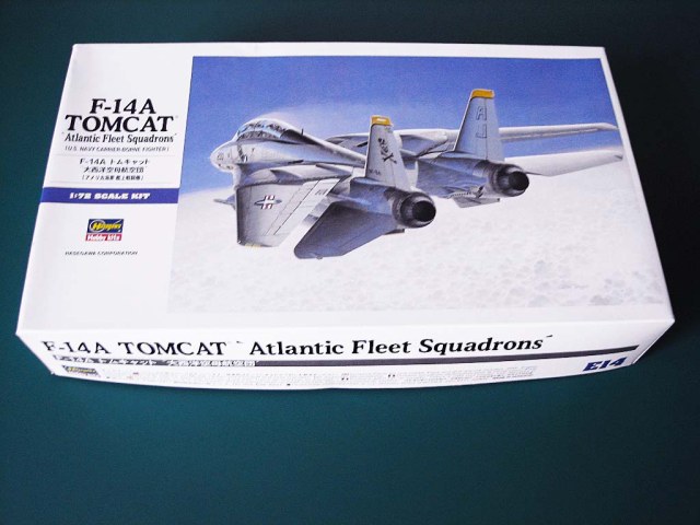 F-14A TOMCAT 'Atlantic fleet squadrons"