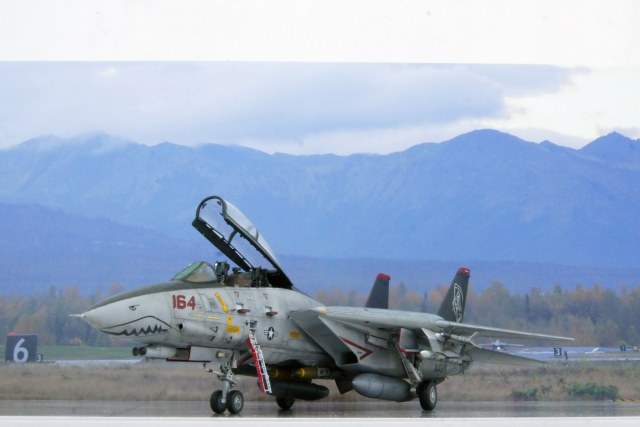 F-14D “Grim Reapers”