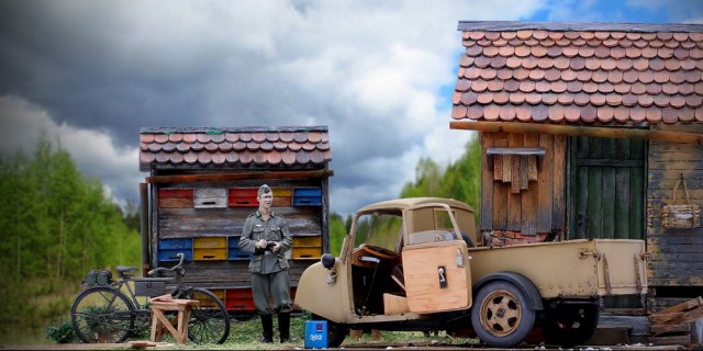 Ух ты, пчёлы!!!