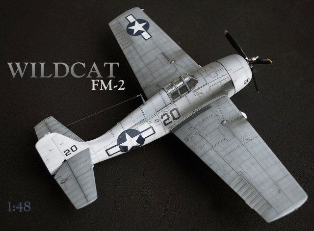 Wildcat FM-2