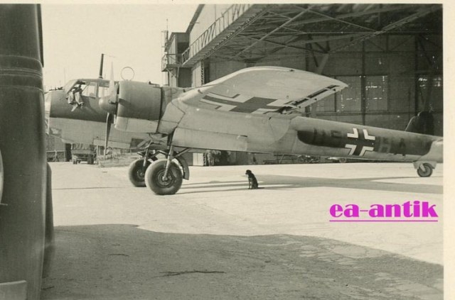 DornierDo15codeU5.jpg