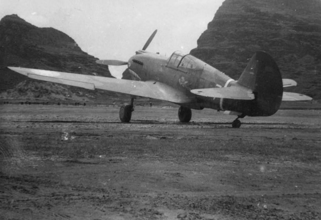 P-40_AVG_Flying_Tigers_White_7.jpg