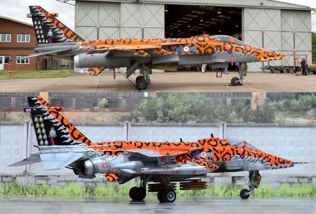 Jaguar Tiger compare 01.jpg