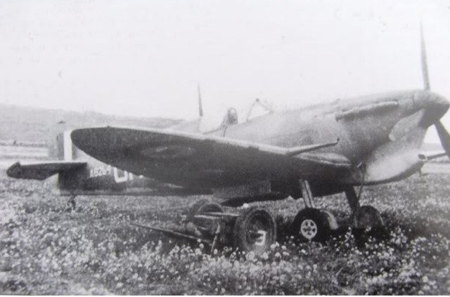 spitfire-ab2641.jpg