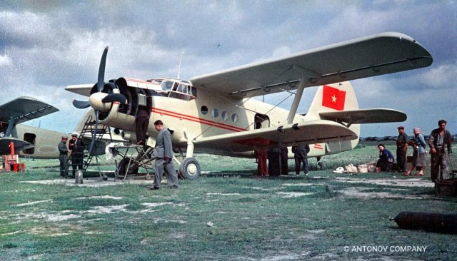 An-2_ho.jpg