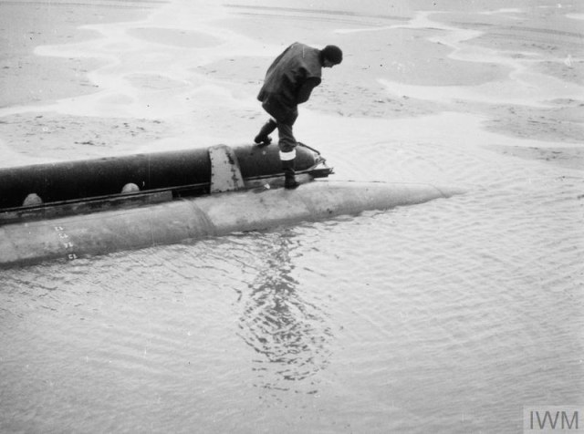 large_000000 (3).jpg