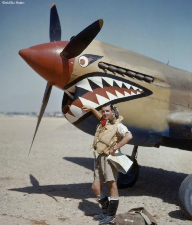 Kittyhawk_Mk_I_112Sqn_Sidi_Heneish.jpg