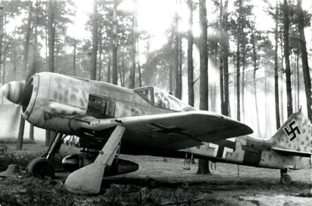 Focke-Wulf-Fw-190A8.jpg