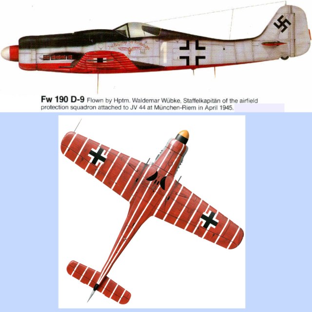 fw190d.jpg