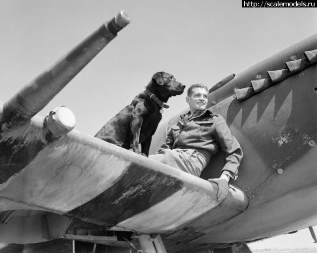 1381154138_00 - копия.jpg