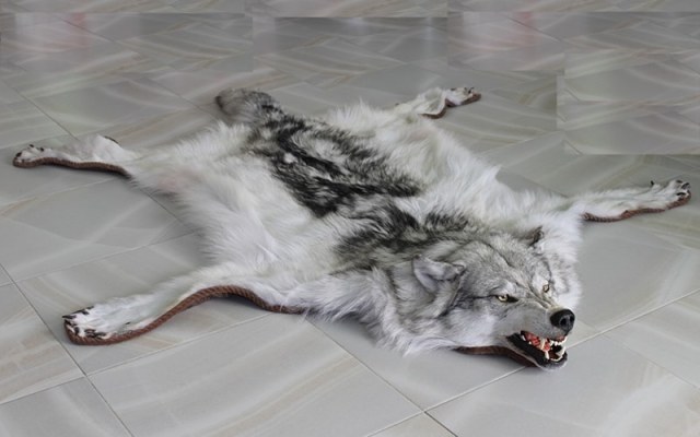Shkura_volka_na_polu_Шкура-волка-на-полу.jpg