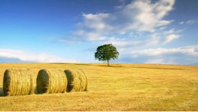 Screenshot_20240906-113208_Yandex Start.jpg