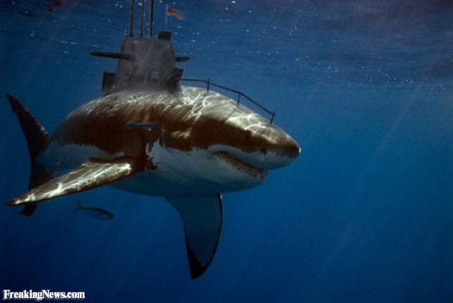 Submarine-Shark--24054.jpg