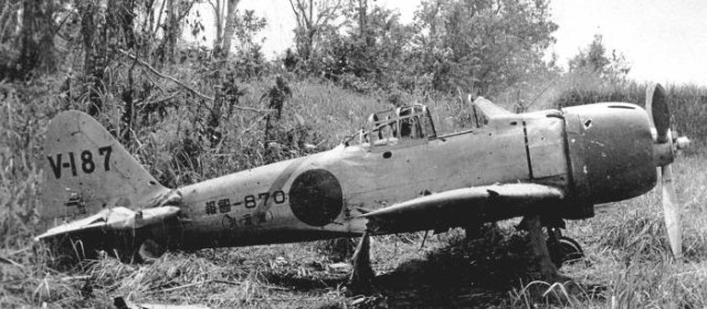 a6m3_buna_3028_a.jpg
