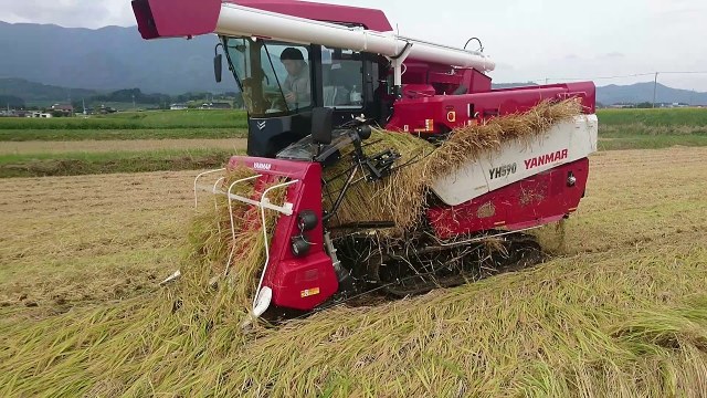 maxresdefault (3).jpg