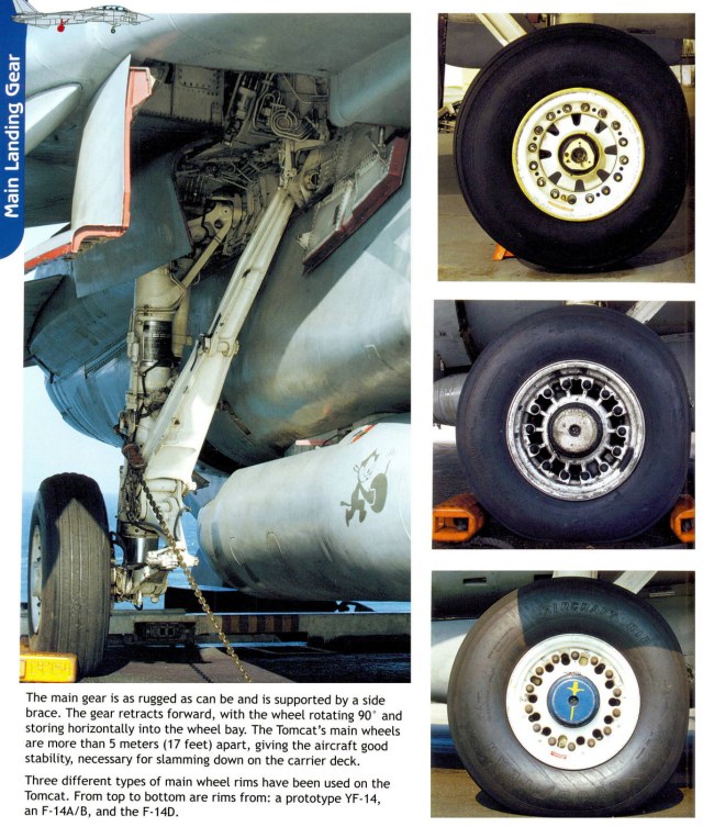 F-14 A-B-D Tomcat-115.jpg