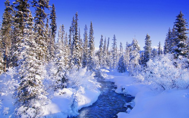 Winter_wallpapers_Winter_Forest_River_019325_.jpg