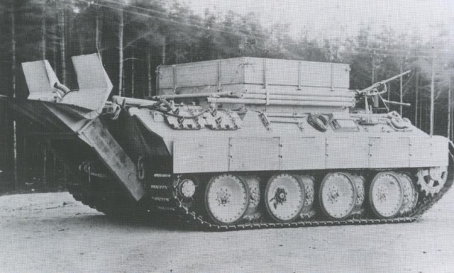 Panther_3_36.jpg
