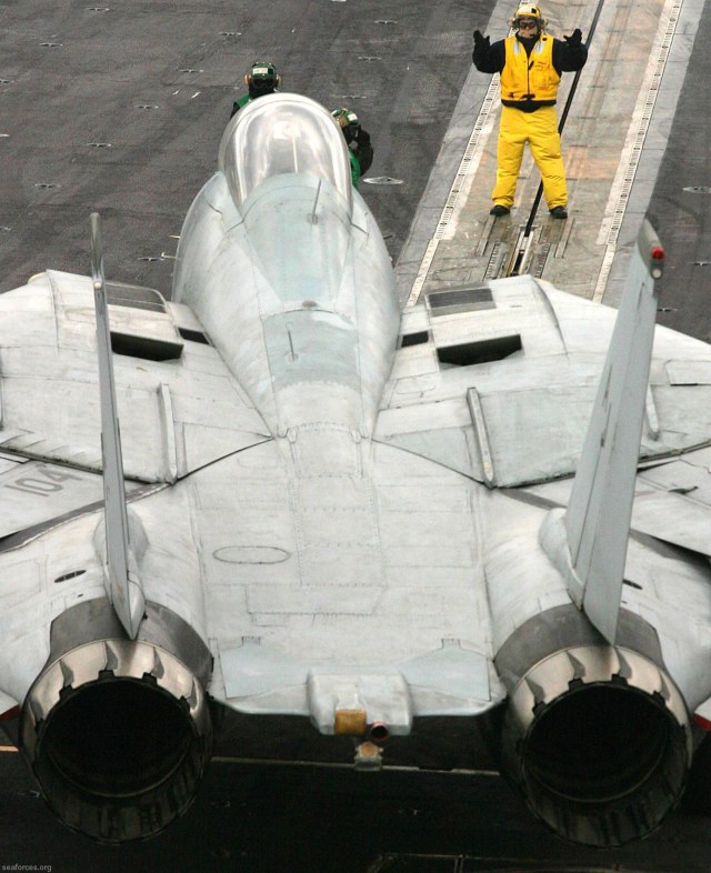 F-14D VF-213-Blacklions-045.jpg