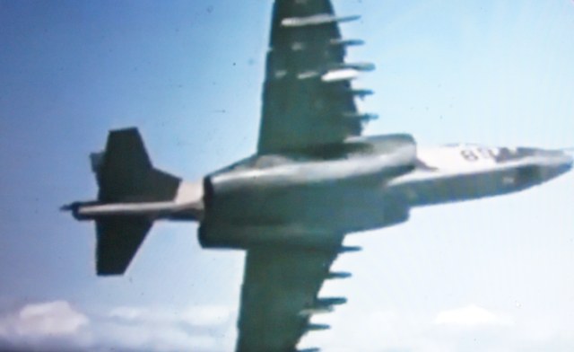 DSC09653.JPG  098789.JPG