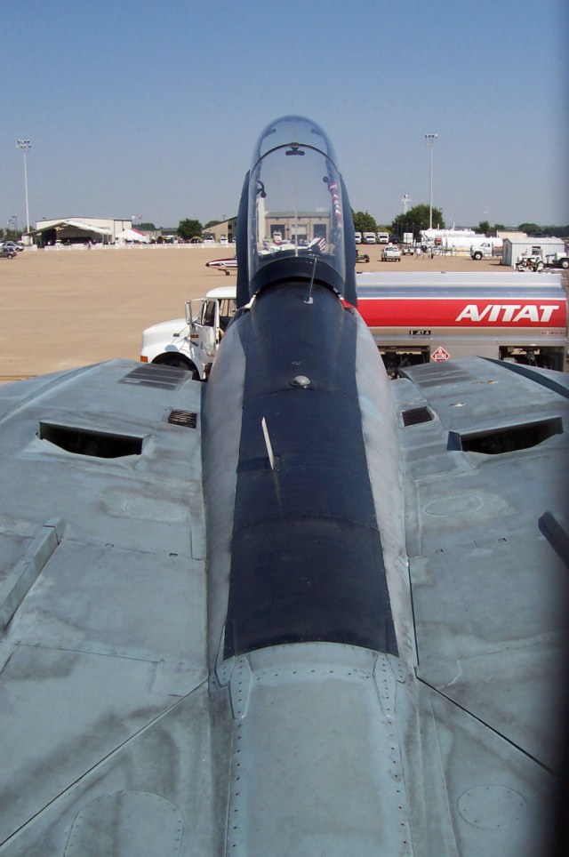 tmp_f-14d_vf101cag_back-846540885.jpg