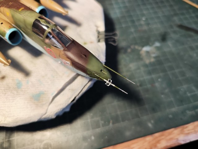 IMG_20250627_202746 мал.jpg