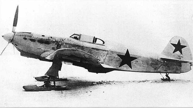 Yak1-003.jpg