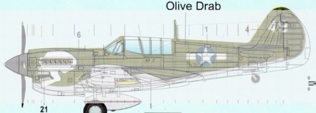 P-40 instruction painting.jpg