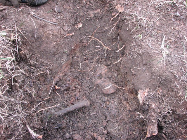 Поиск 2011 (197).JPG