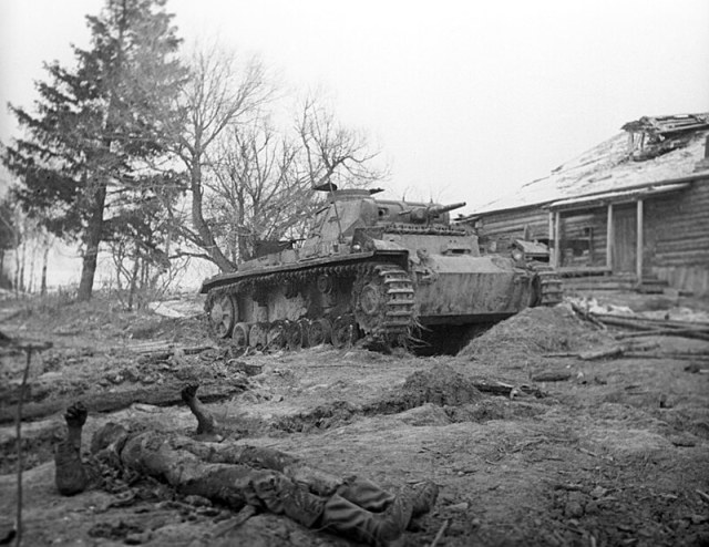 RIAN_archive_884162_German_armor_unit_defeated_in_the_vicinity_of_Skirmanovo_village.jpg