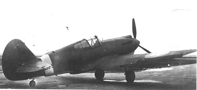 p-40-toma-3.jpg