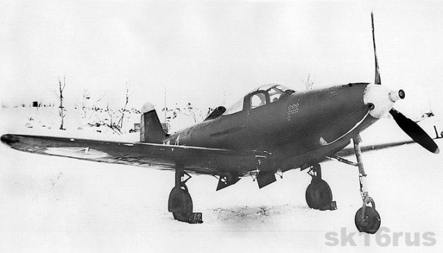 p39rassadkin.jpg
