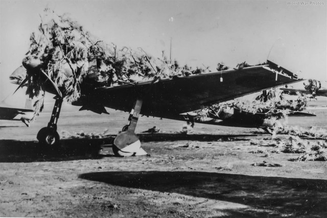 Camouflaged_A6M5_found_on_Saipan_1944.jpg