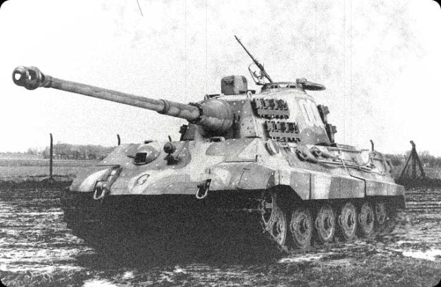 Tigerii008cw_19a.jpg