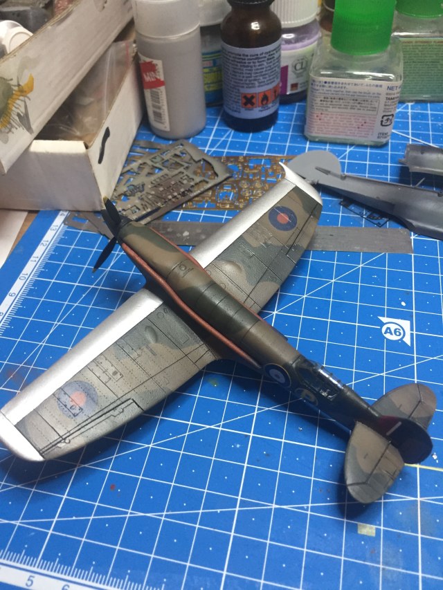 20181027_211701_IMG_1131 (1).jpg