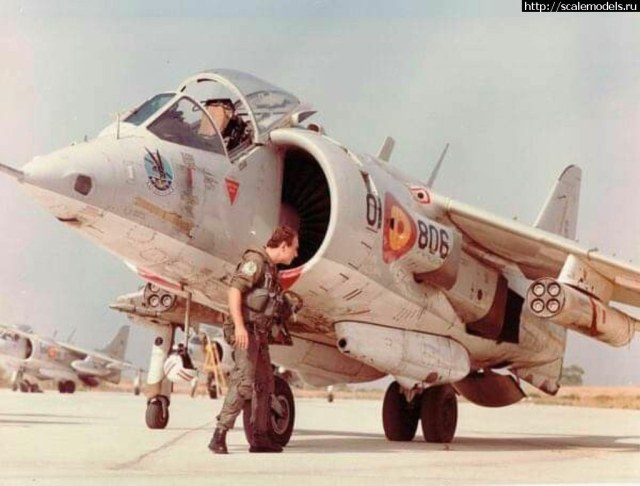 1561390848_3b9787835ec1e934788cd70f9e12de79 (1).jpg