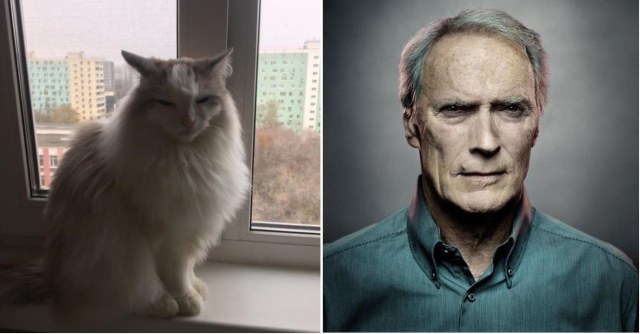 Клинт Эдик.jpg