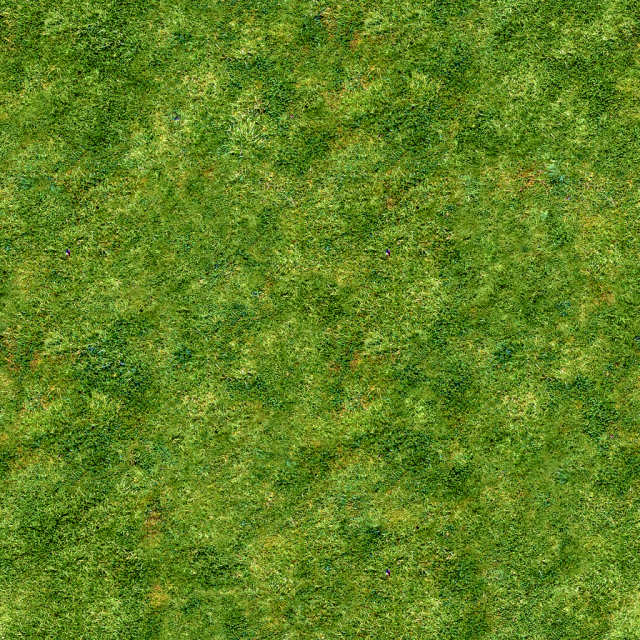 alpine_grass_a (1).png