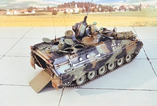 BWmarder-4.jpg