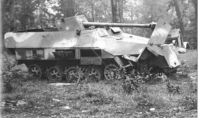 5d8341c695fa2290103ae0dc034df507 (2).jpg