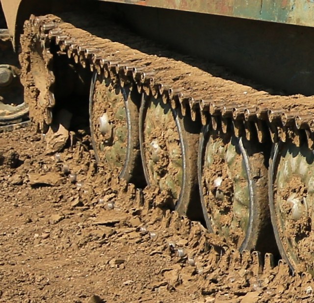 Траки Гвоздики.jpg