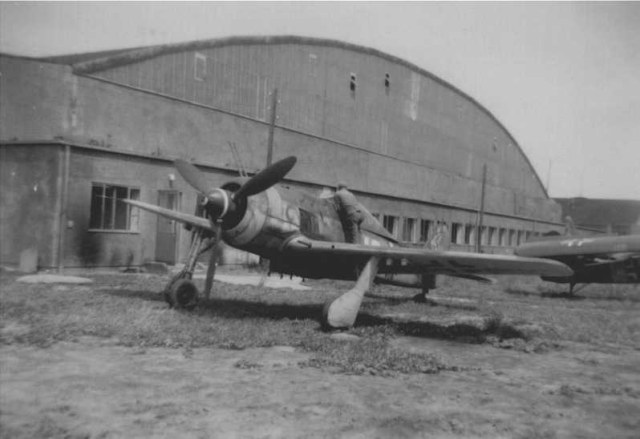 FW190-F8-7f-s.jpg