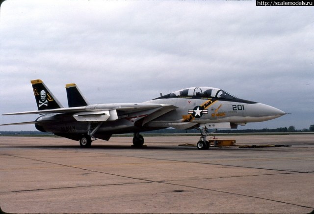 F-14A 201 JR.jpg