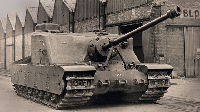 A39-Tortoise-2.jpg