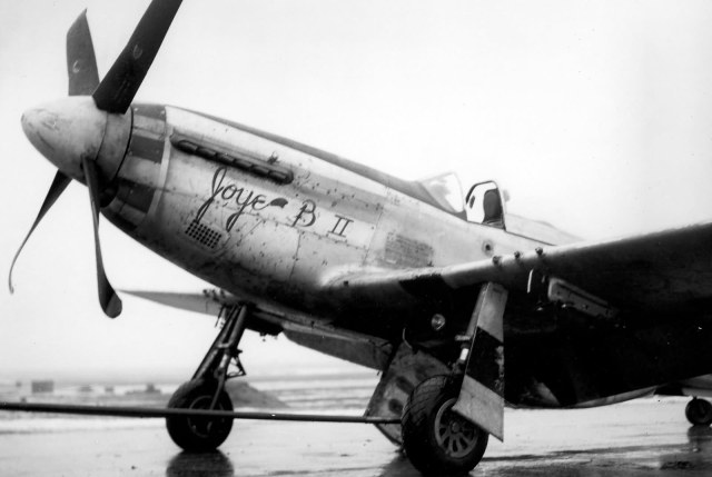 P-51_Damaged_364th_Fighter_Group_Mustang_Joye_B_II.jpg