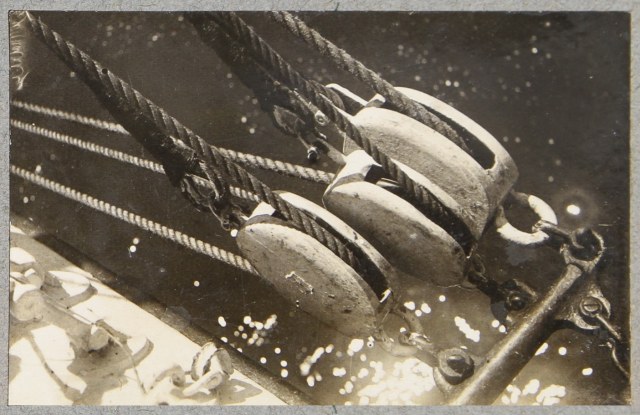 29-12048917-517 (1).jpg