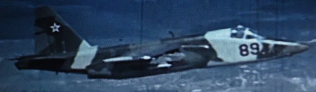 DSC00428 (2).JPGооп.JPG