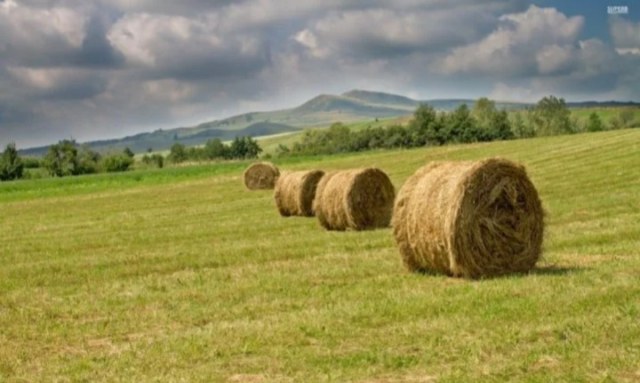 Screenshot_20240906-113319_Yandex Start.jpg